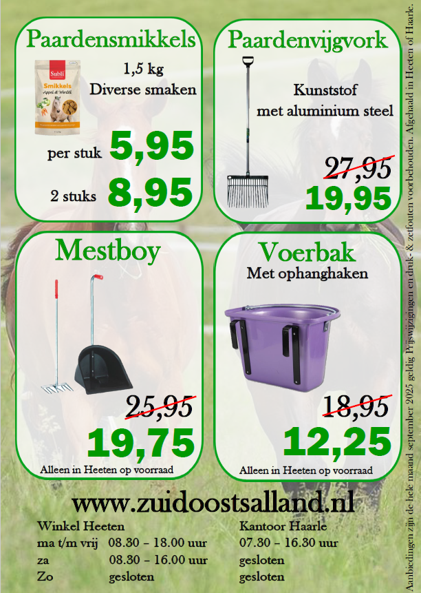 Achterkant flyer