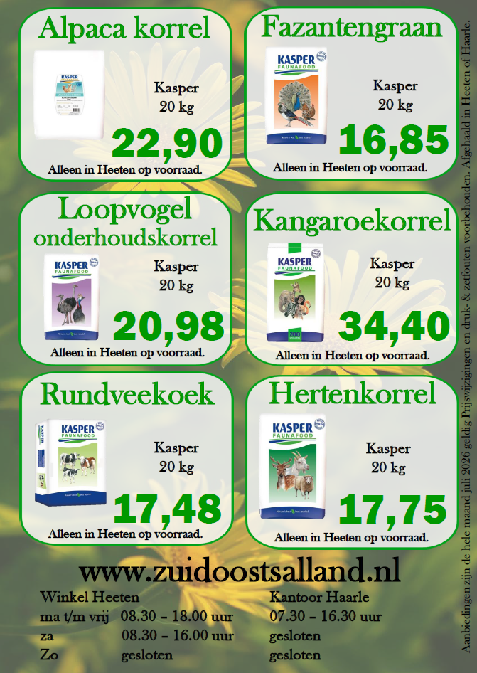 Achterkant flyer